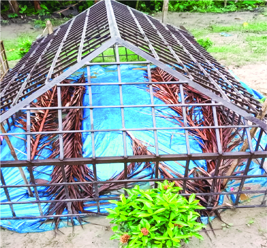 Image of আমজাদ হোসেন